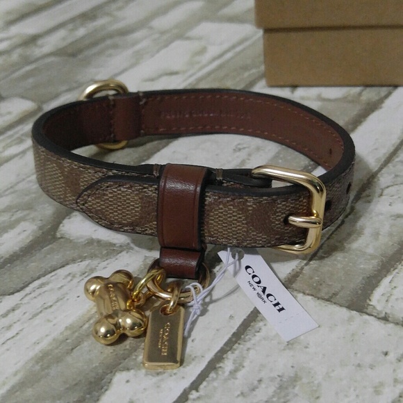 coach dog collar small